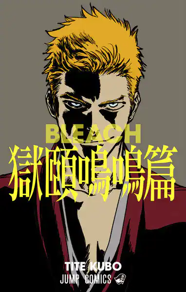 BLEACH 獄頤鳴鳴篇のあらすじ
